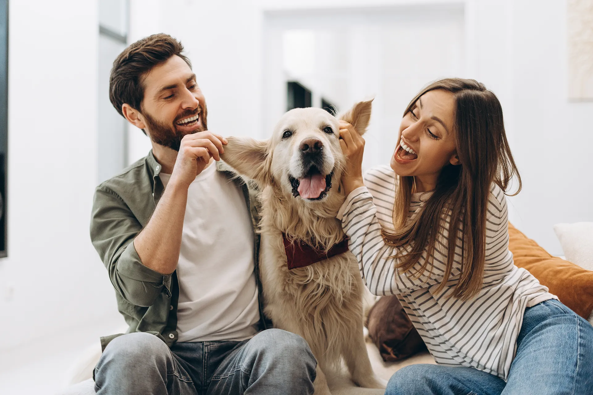 HR_shutterstock_2587057327